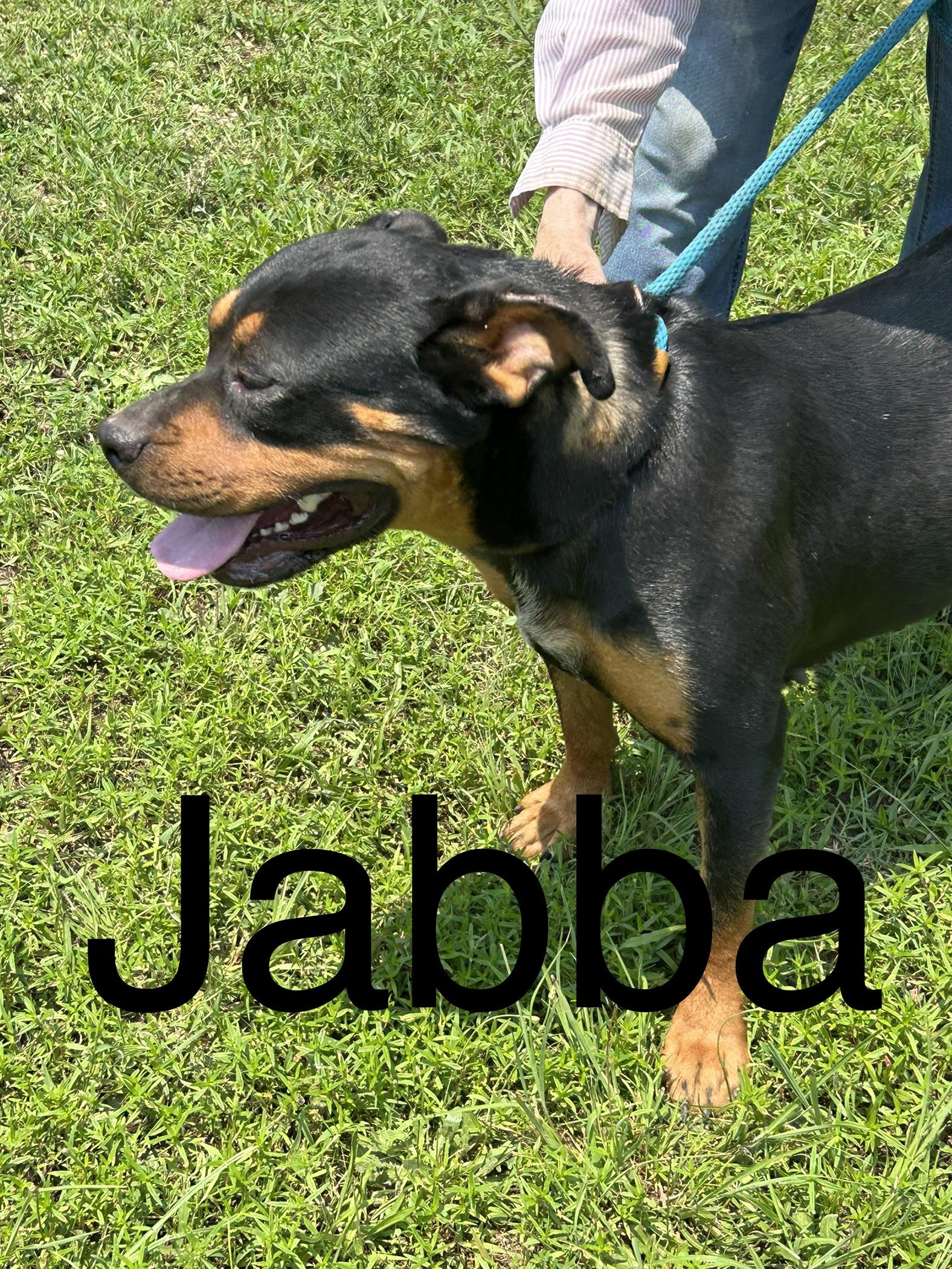 Jabba 2
