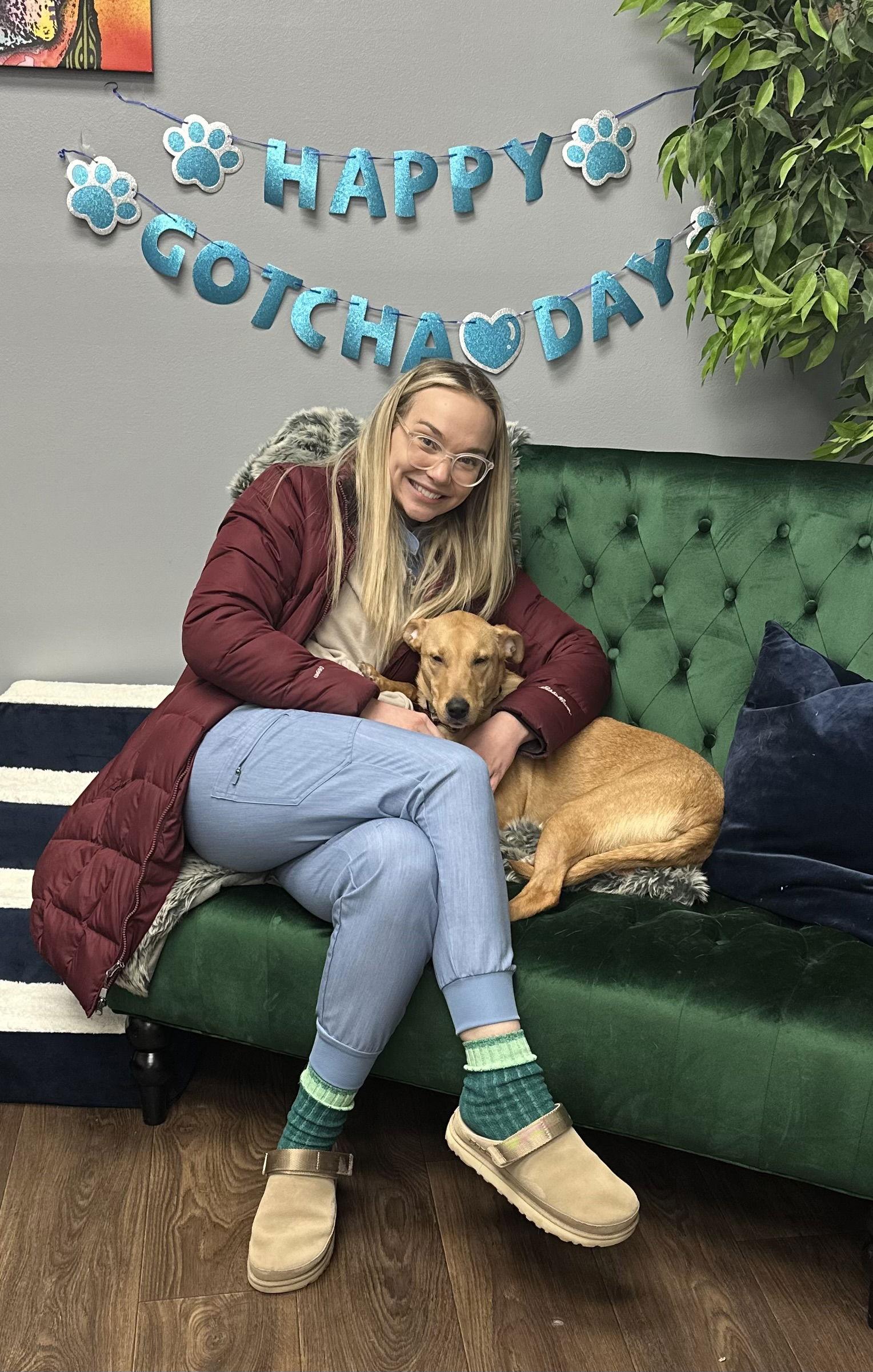 Zag, Adopted, Young Female Carolina Dog.