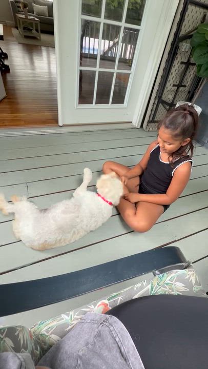 Enlarge Gilly, a ADOPTABLE mixed breed in Mahwah, NJ video 6/6