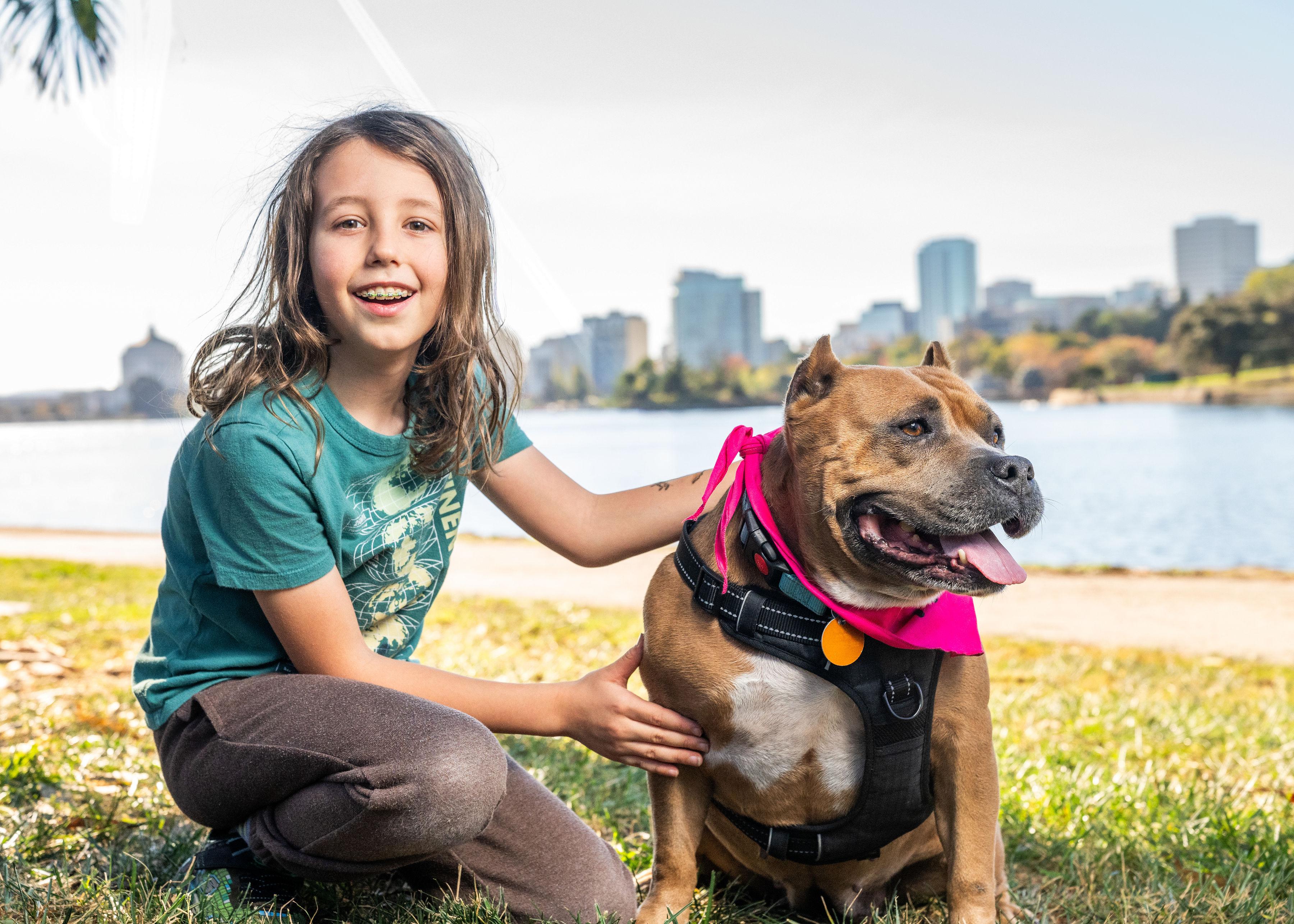 Enlarge Rosa, a Adoptable Pit Bull Terrier in Oakland, CA image 3/6