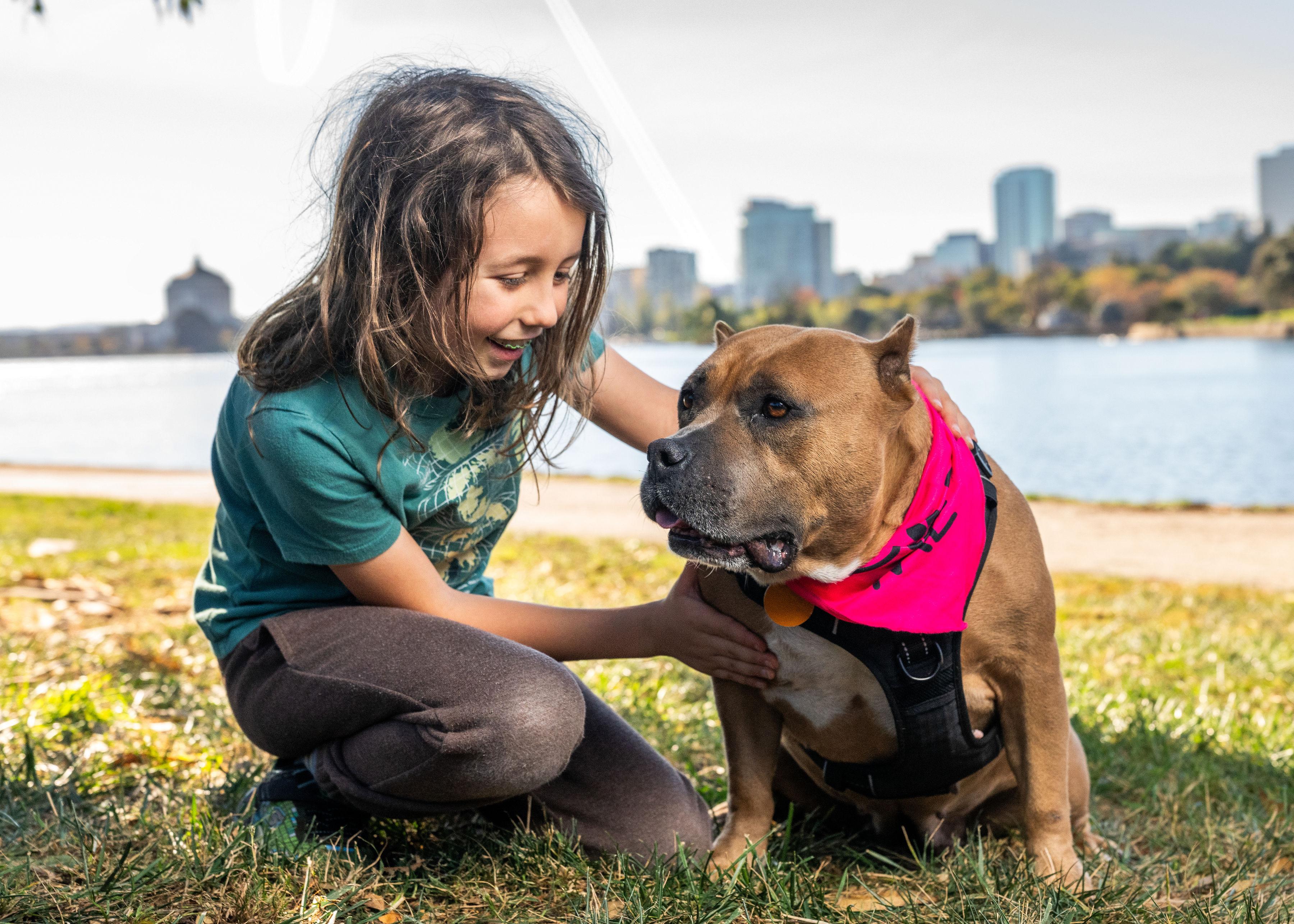 Enlarge Rosa, a Adoptable Pit Bull Terrier in Oakland, CA image 6/6