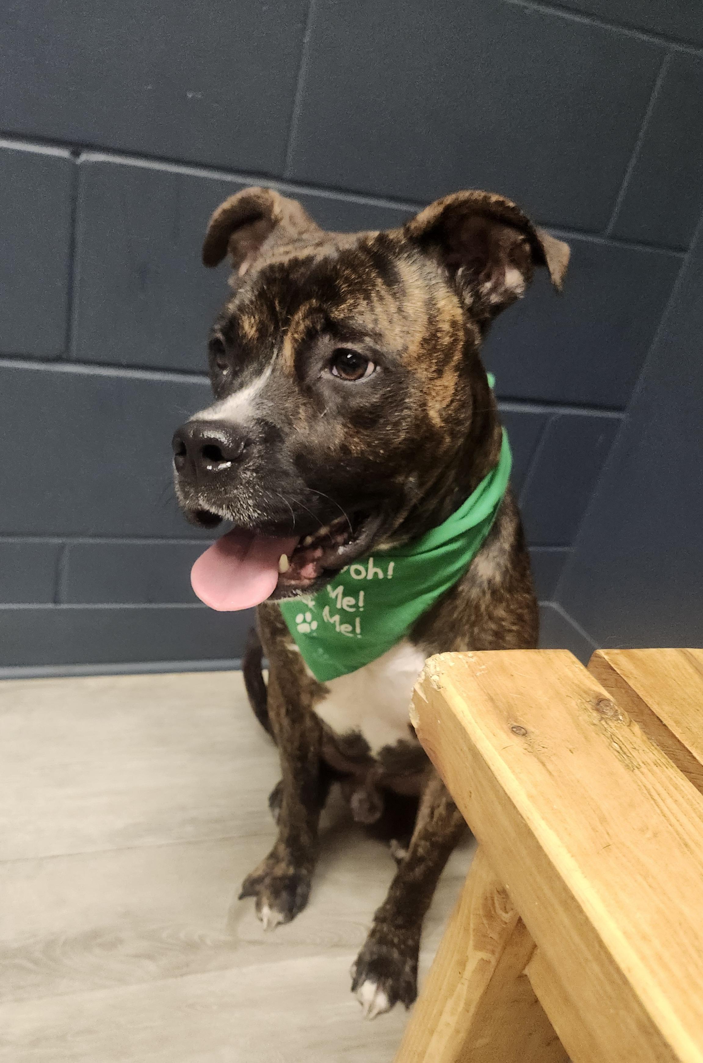 Slim Jim thumbnail 2