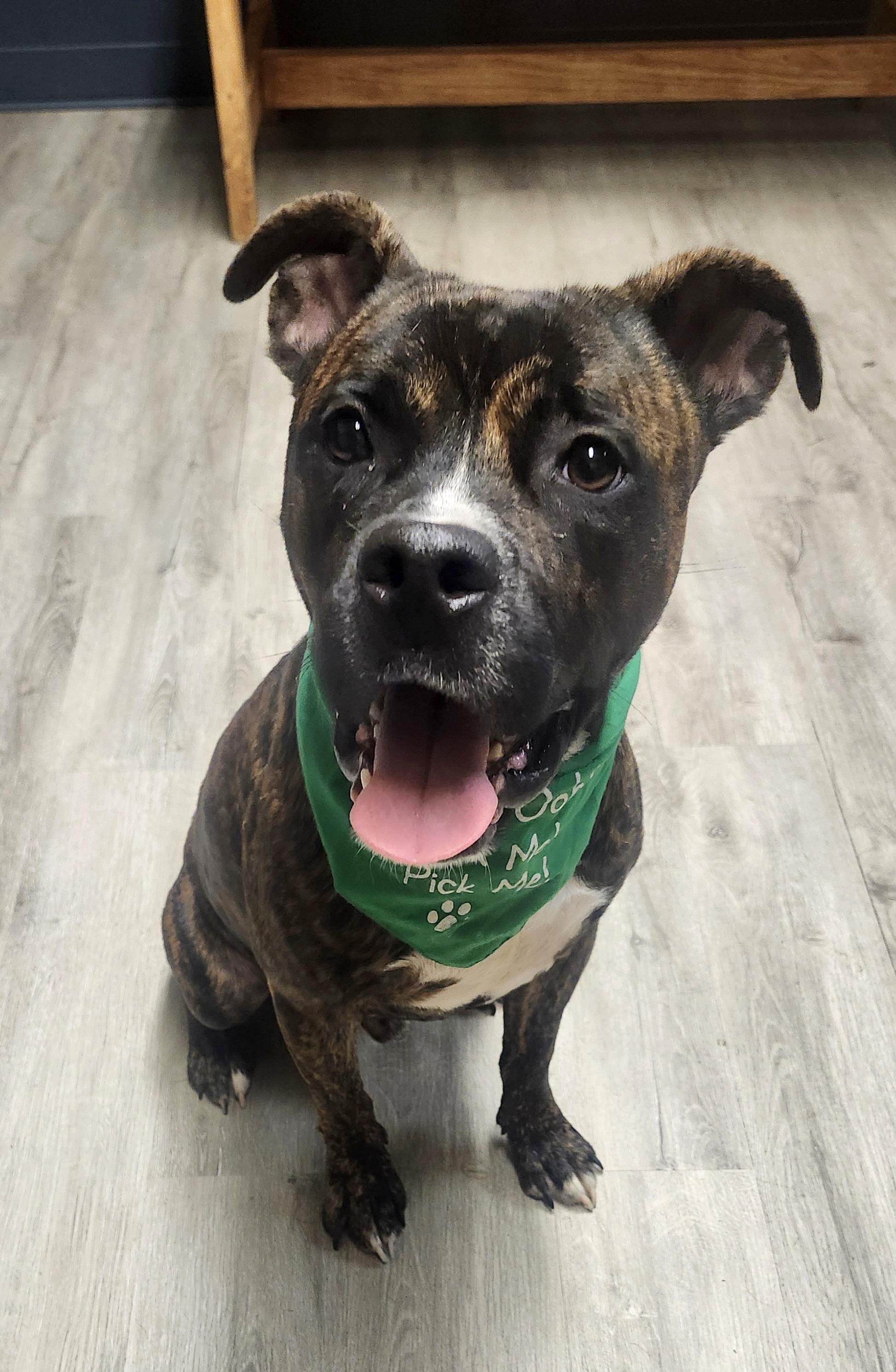 Slim Jim thumbnail 4