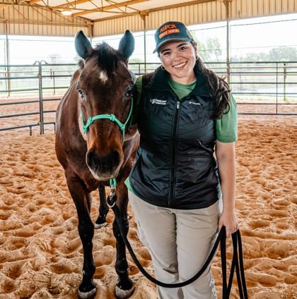 Rolex, a Adoptable Quarterhorse in Fort Worth, TX image 2/2