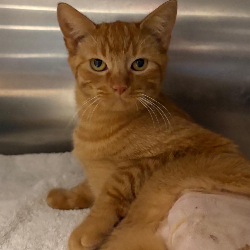 Butter — thumbnail 2