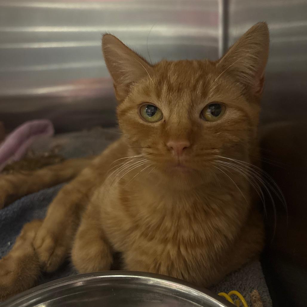 Butter — thumbnail 3