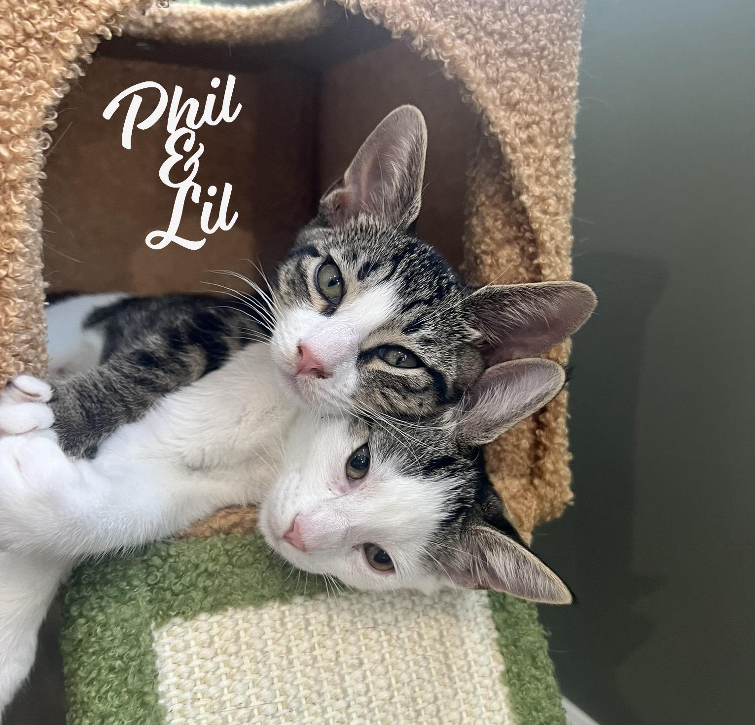 Phil &amp; Lil #bonded-Rugrats