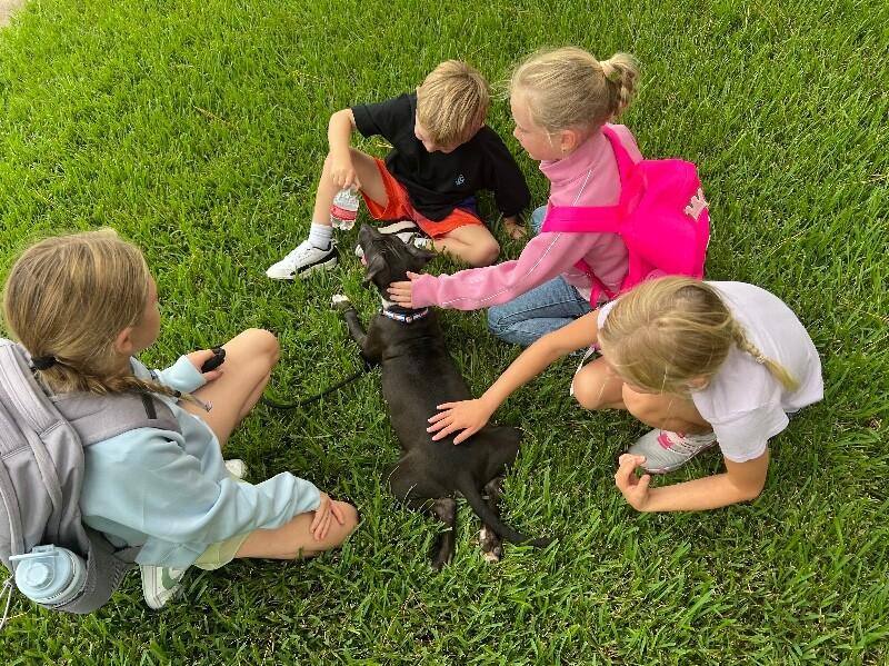 Happy Hanky Wiggles of Joy