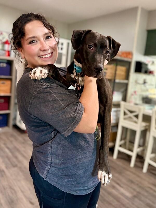 Happy Hanky Wiggles of Joy — thumbnail 2