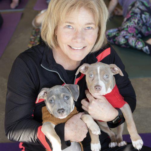 Phoebe, a Adoptable mixed breed in Georgetown, KY image 1/5