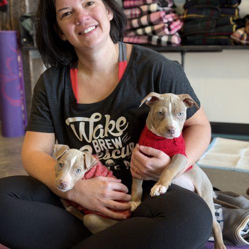 Phoebe, a Adoptable mixed breed in Georgetown, KY image 4/5