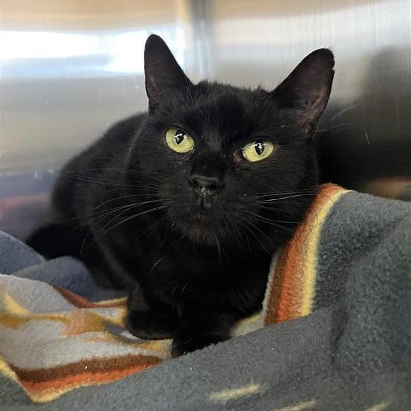 Rosaria — thumbnail 2