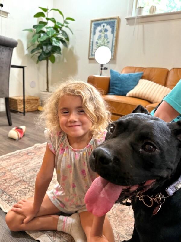 Angie Short Stack of Snuggles — thumbnail 2