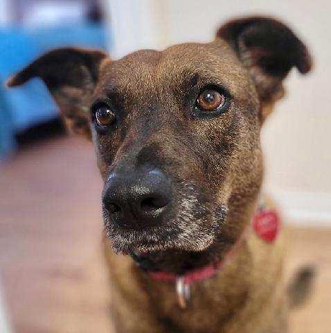 Lucy 2 — thumbnail 2