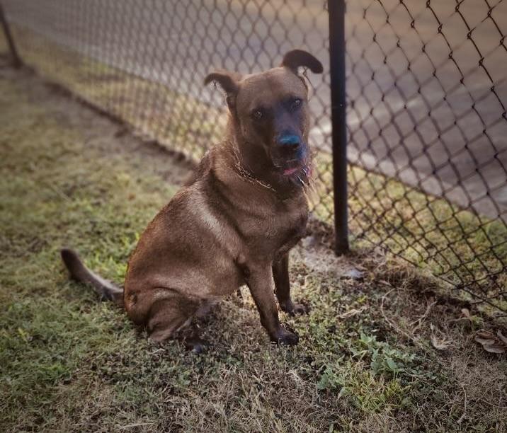 Lucy 2 — thumbnail 5