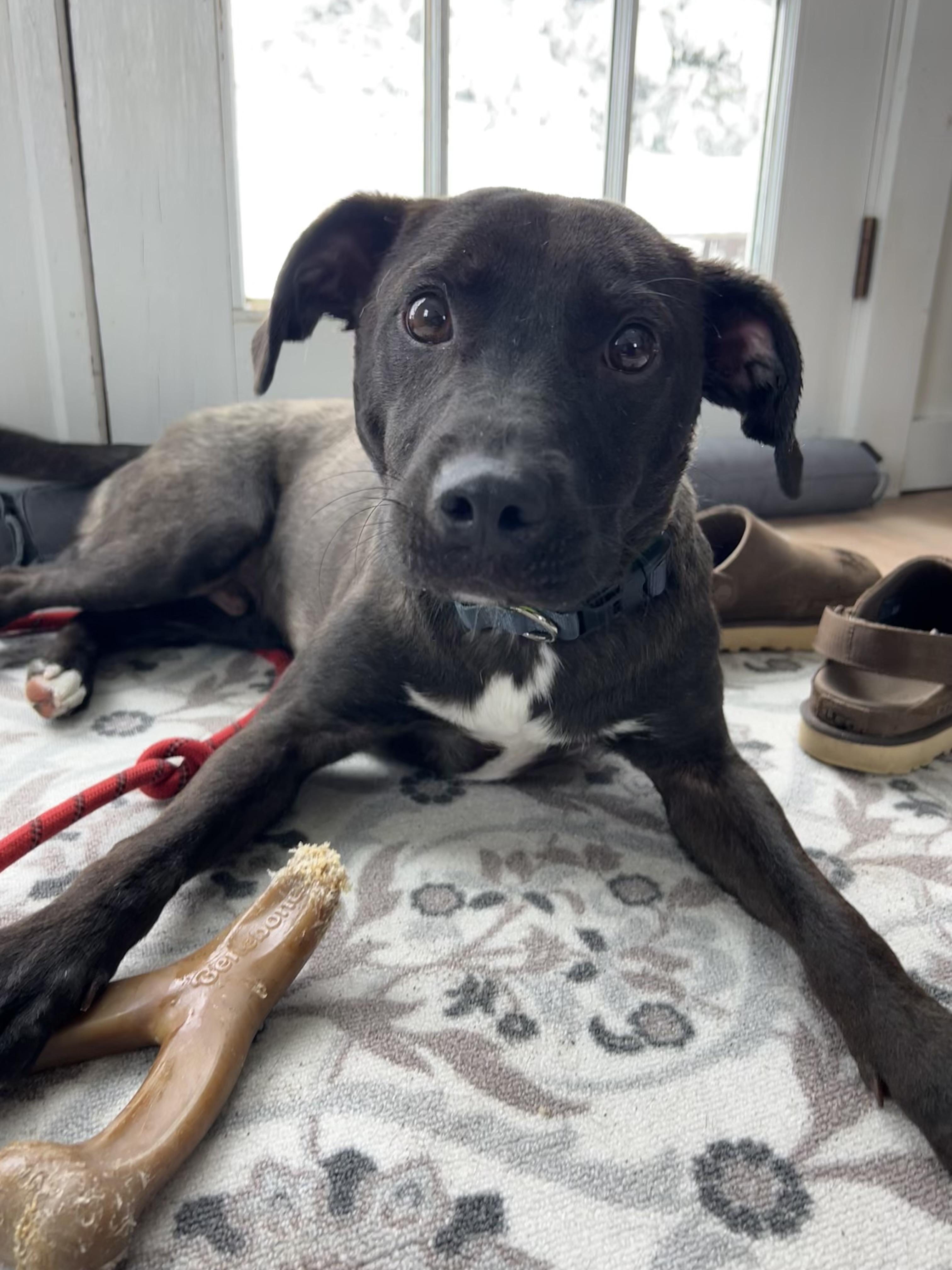 Buster Brown — thumbnail 2