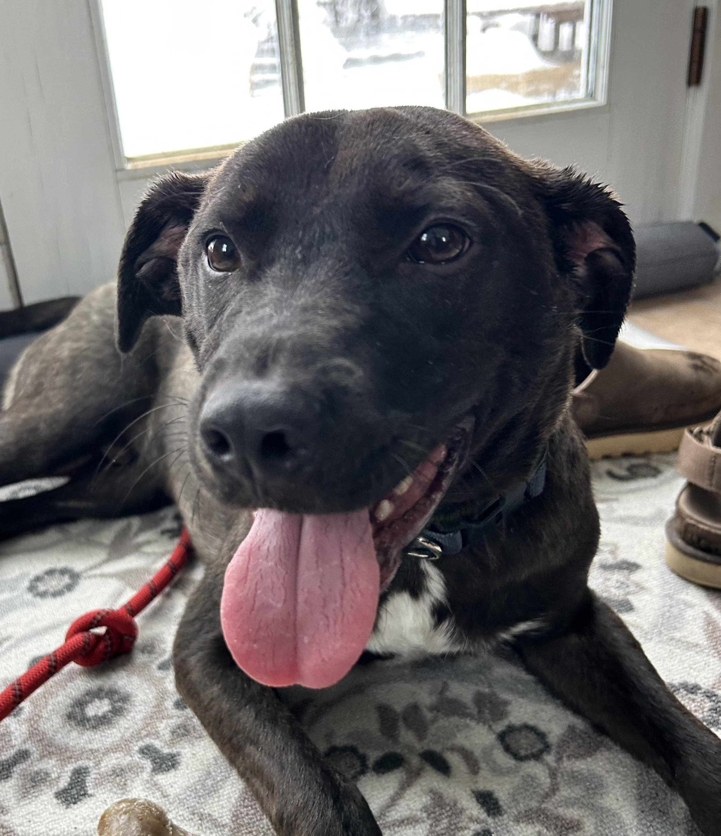 Buster Brown — thumbnail 3