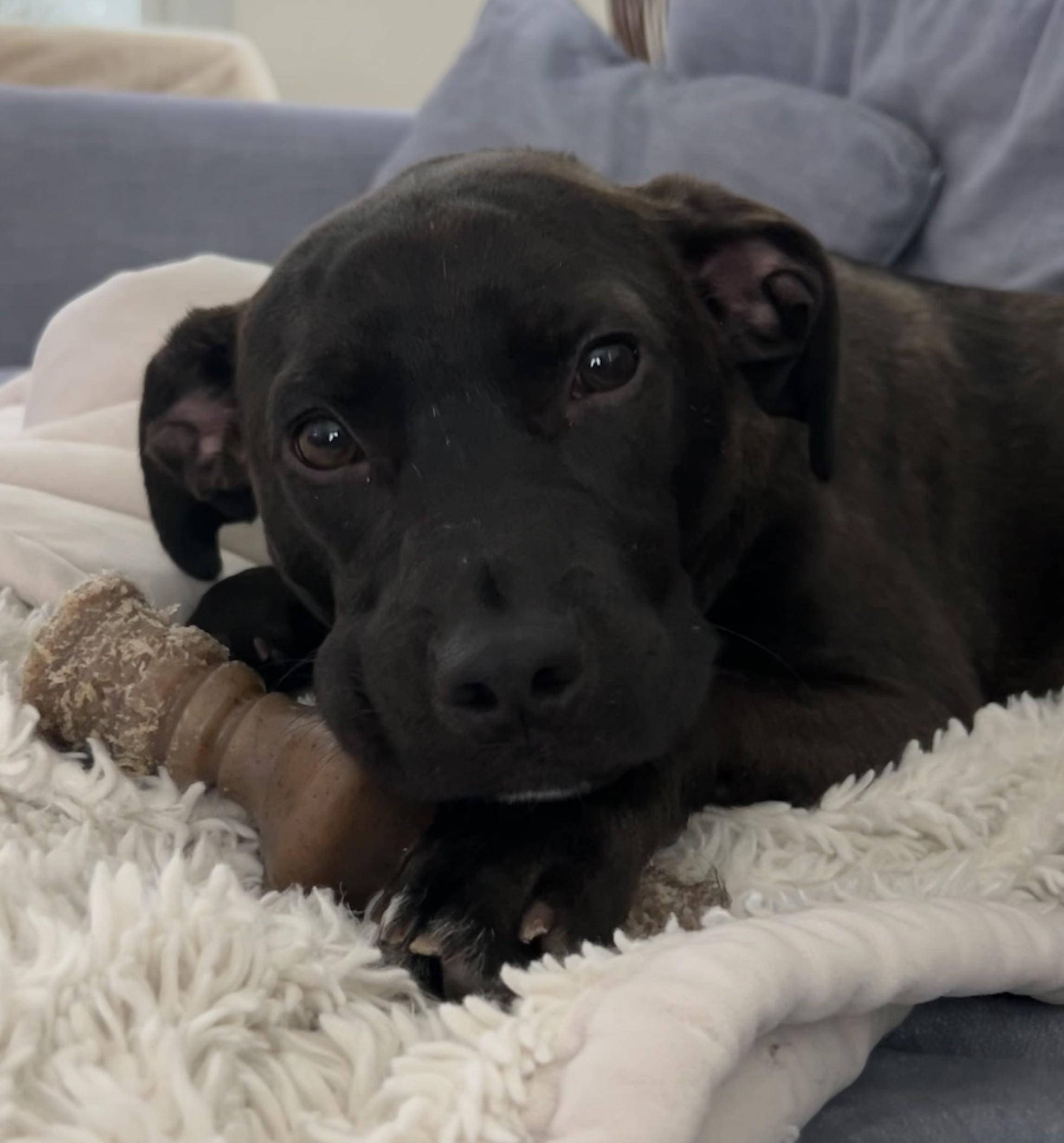 Buster Brown — thumbnail 4