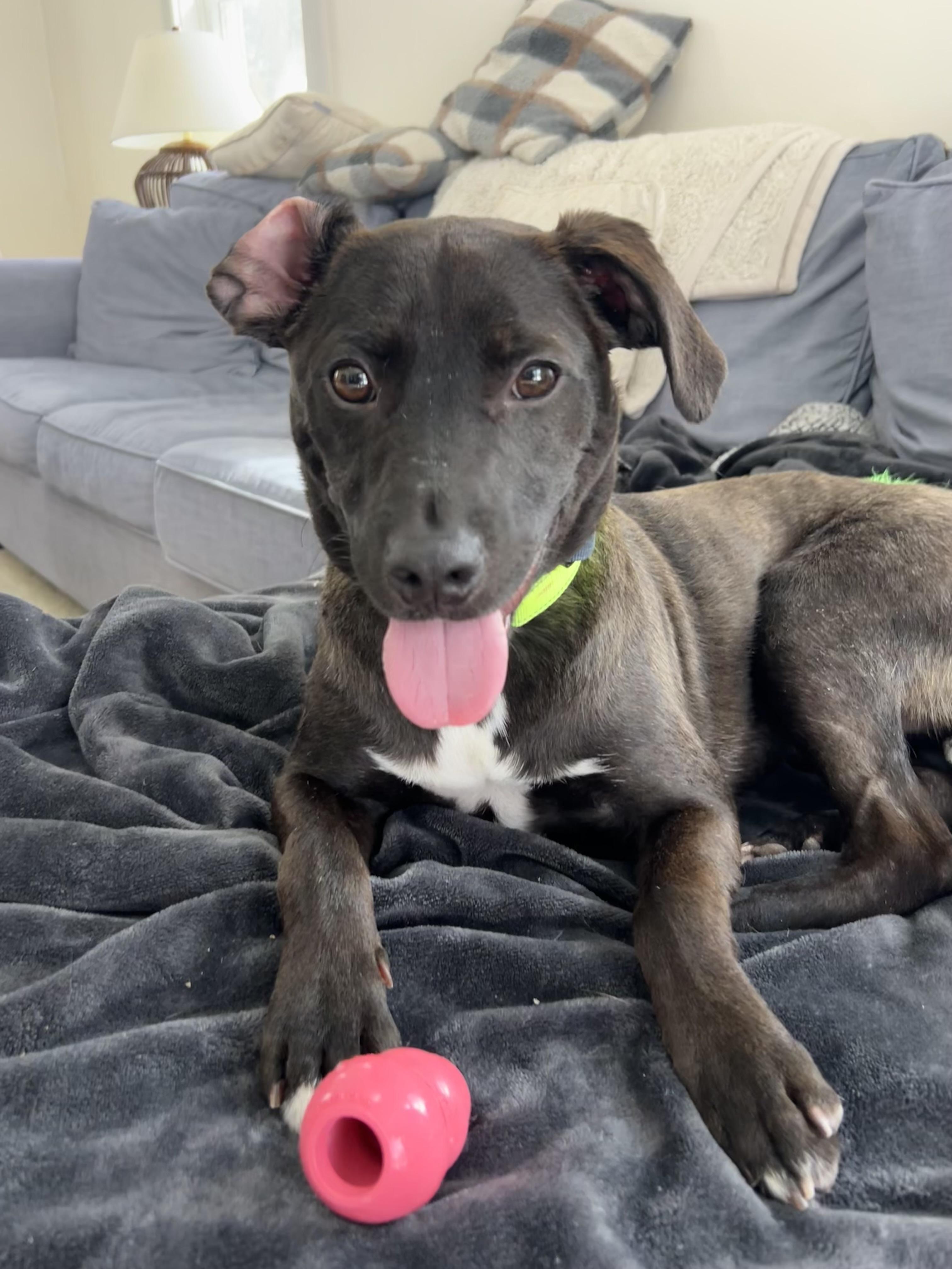 Buster Brown — thumbnail 5