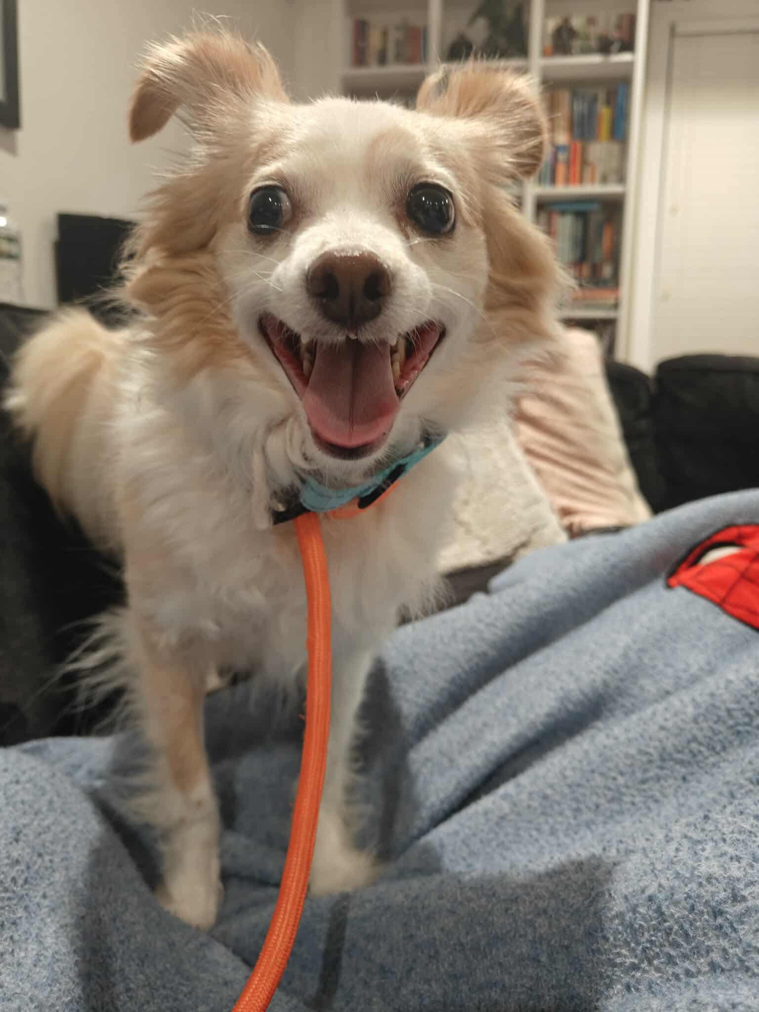 Frank