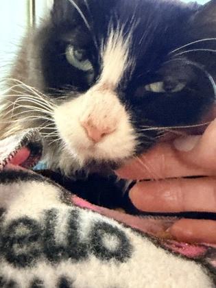 Minnie — thumbnail 2