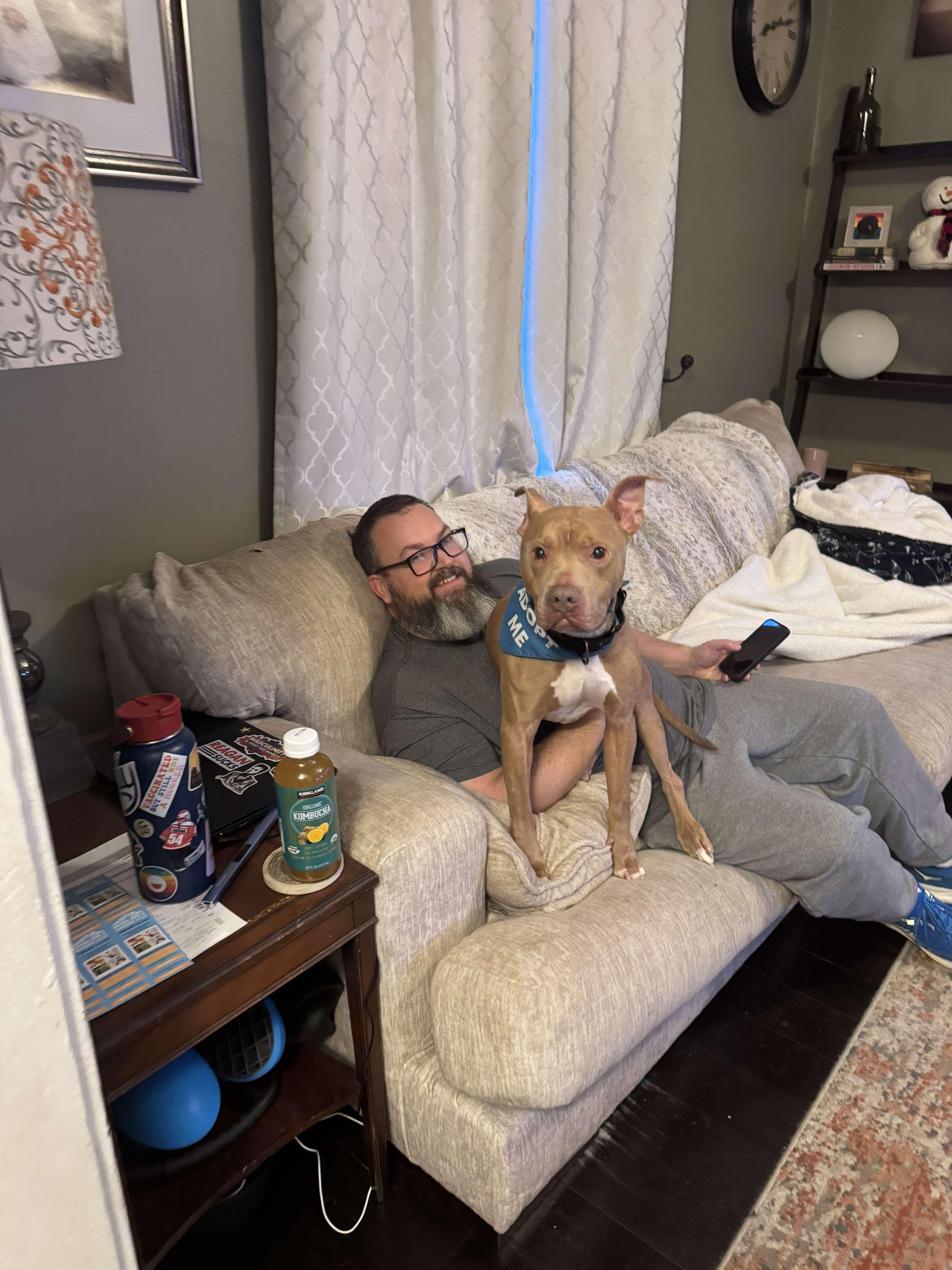 Enlarge Joker, a Adoptable mixed breed in Fort Wayne, IN image 3/6