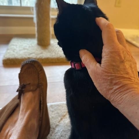 Winnie — thumbnail 3