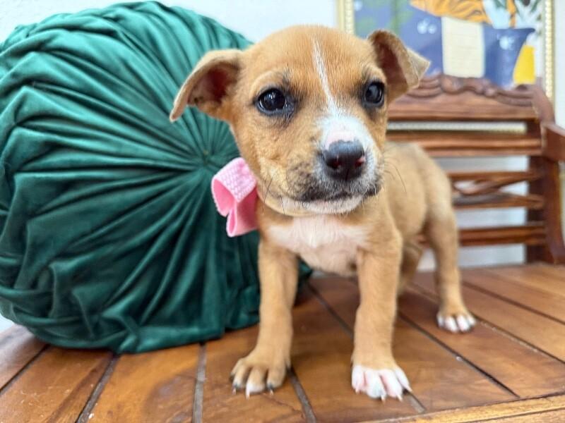 Nae Nae Baby — thumbnail 2