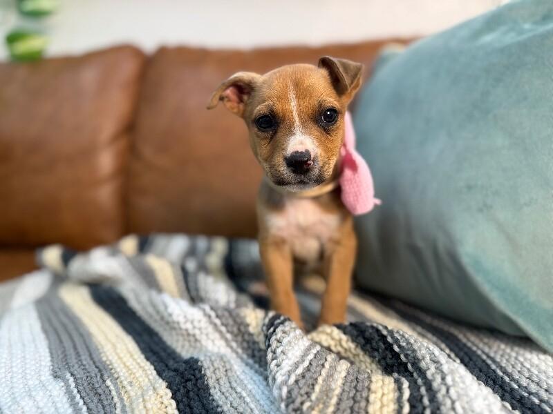 Nae Nae Baby — thumbnail 4