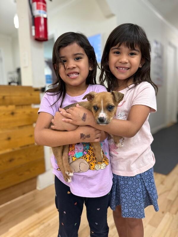 Nae Nae Baby — thumbnail 5