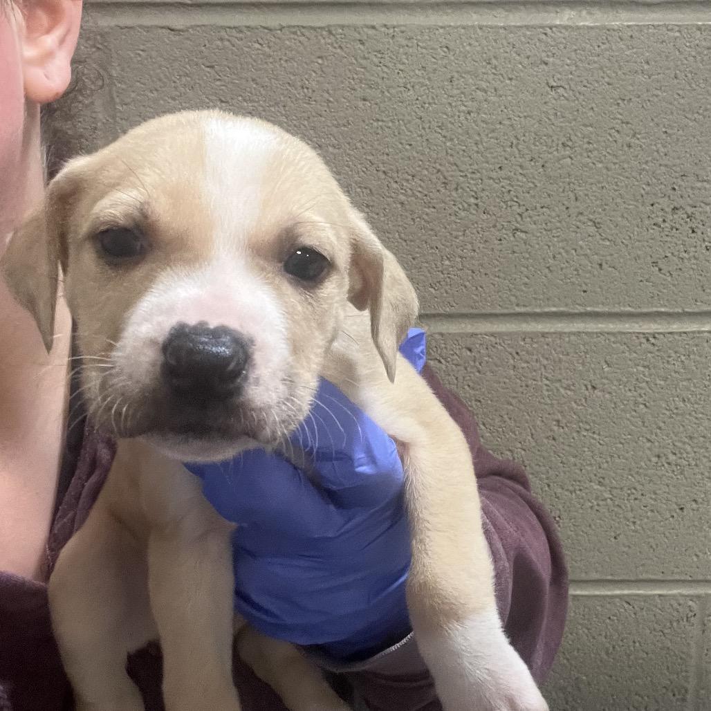 SourPatch — thumbnail 2