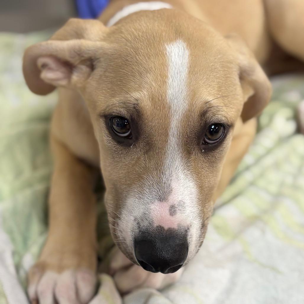 SourPatch — thumbnail 3