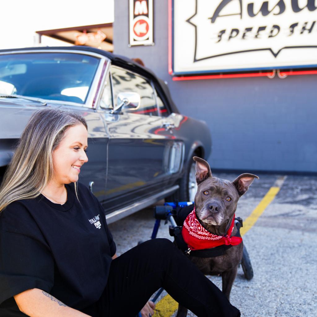 Streetcar Stella — thumbnail 4