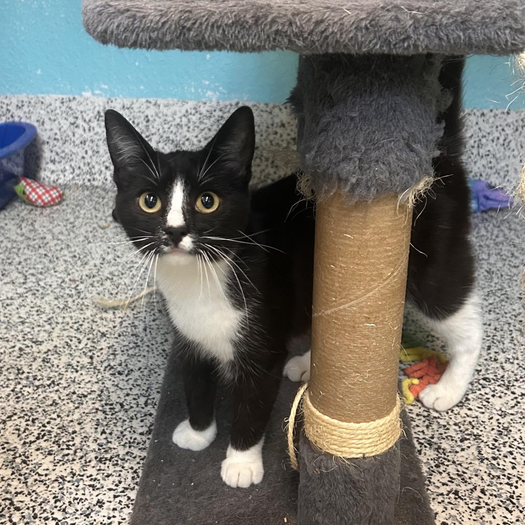 Crochet — thumbnail 2