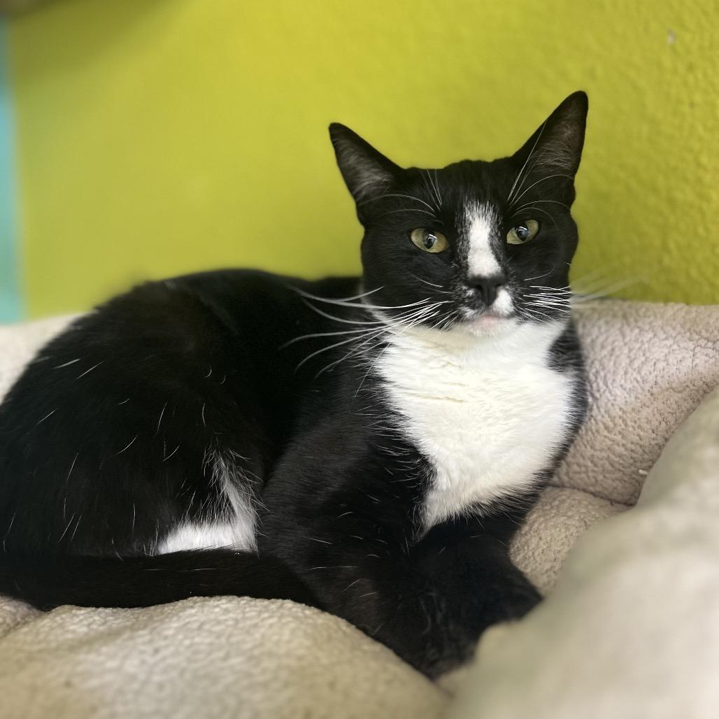 Crochet — thumbnail 3