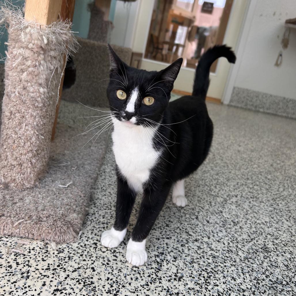 Crochet — thumbnail 4