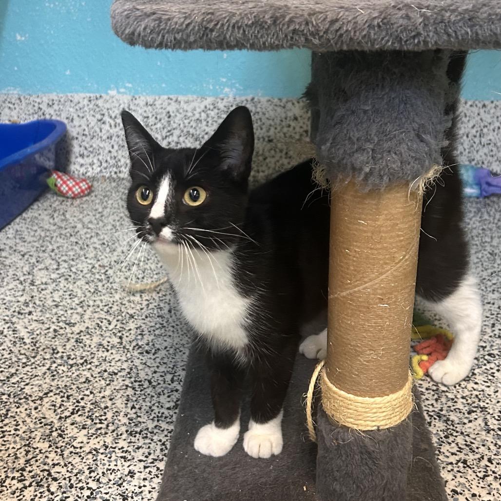 Crochet — thumbnail 6