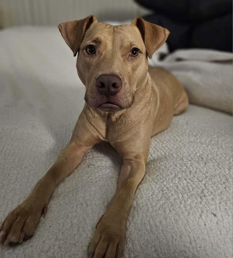 Annaliese thumbnail 6