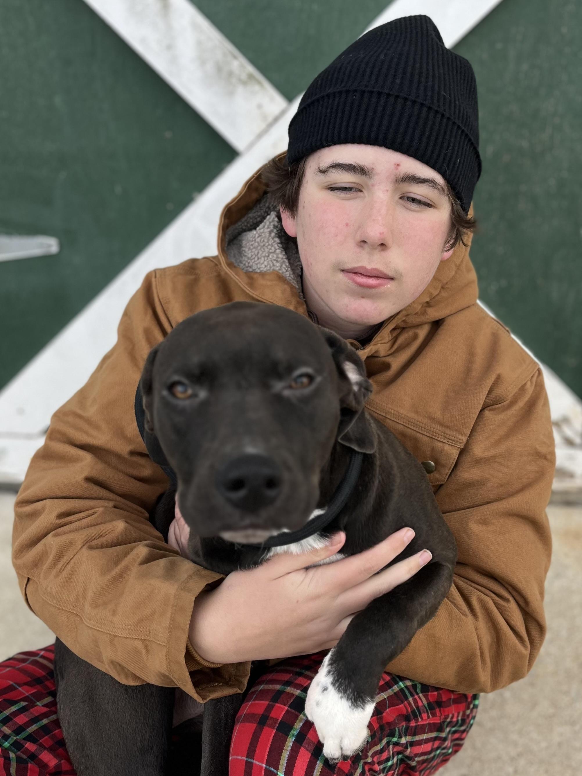 Enlarge Marshall, an adopted mixed breed in Watertown, CT image 2/5