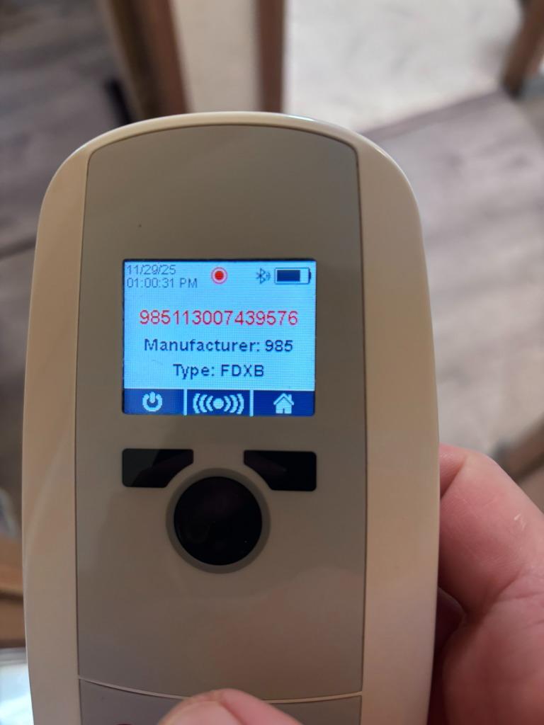 Enlarge Gunner, a Adoptable Australian Cattle Dog / Blue Heeler in Thompson Falls, MT image 5/5