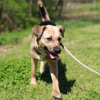 Missy — thumbnail 3