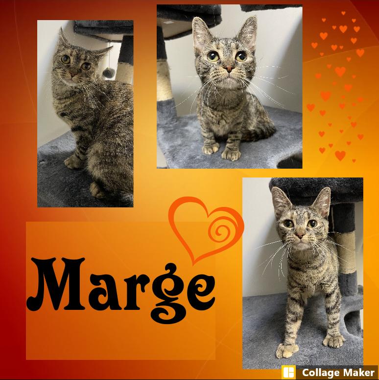 Marge photo