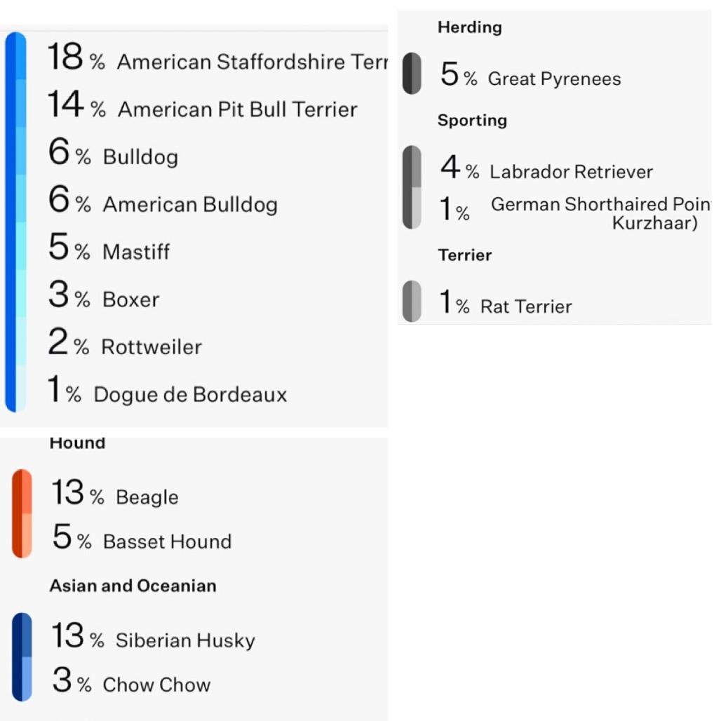 Enlarge Bugsy, a Adoptable Mixed Breed in Kansas City, MO image 2/5