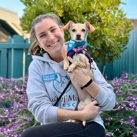Enlarge Izzy, a Adoptable mixed breed in Pacific Grove, CA image 6/6