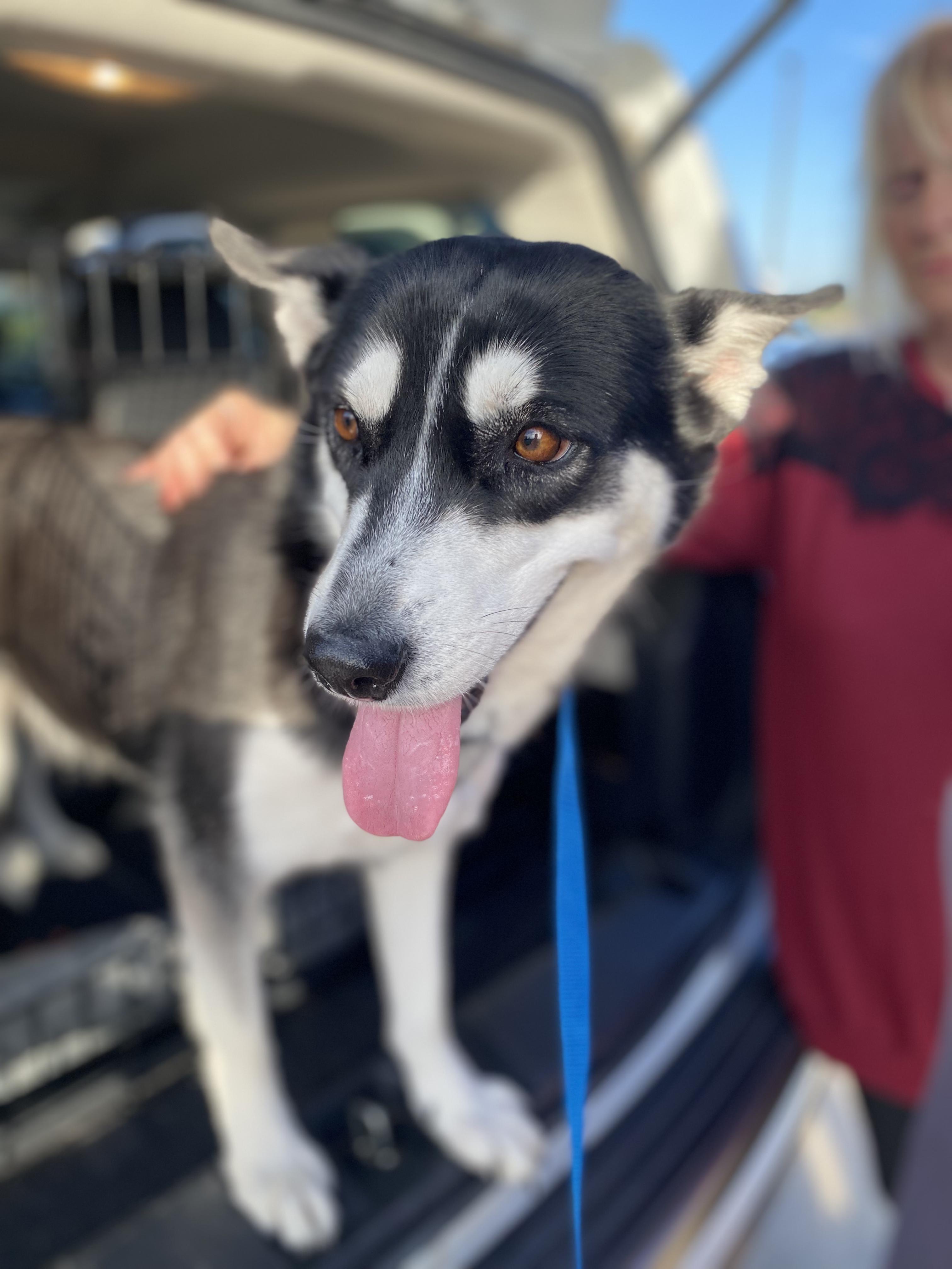 ELLA. located in Texas