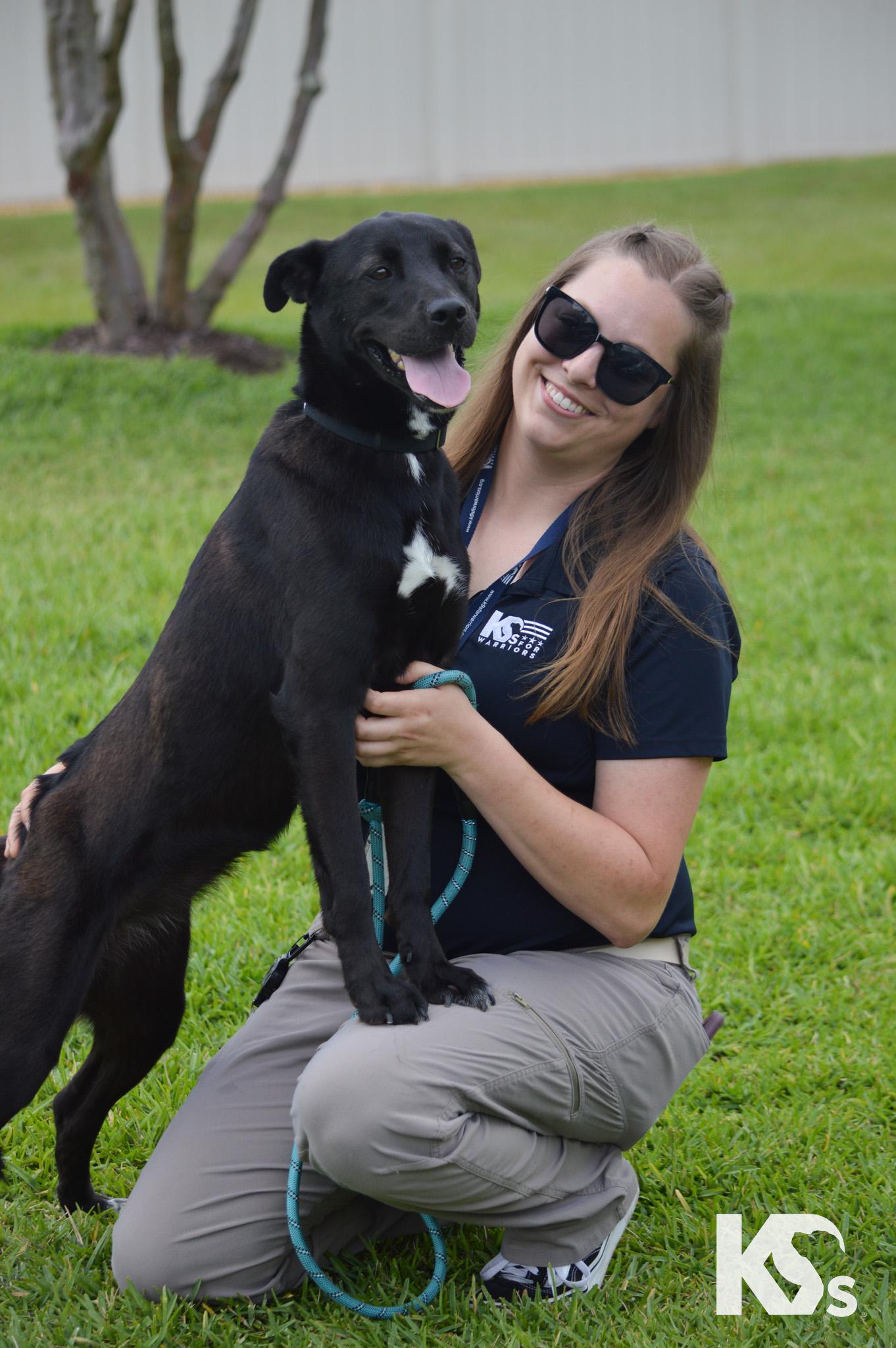 Jewl, a ADOPTABLE mixed breed in Ponte Vedra, FL image 2/4