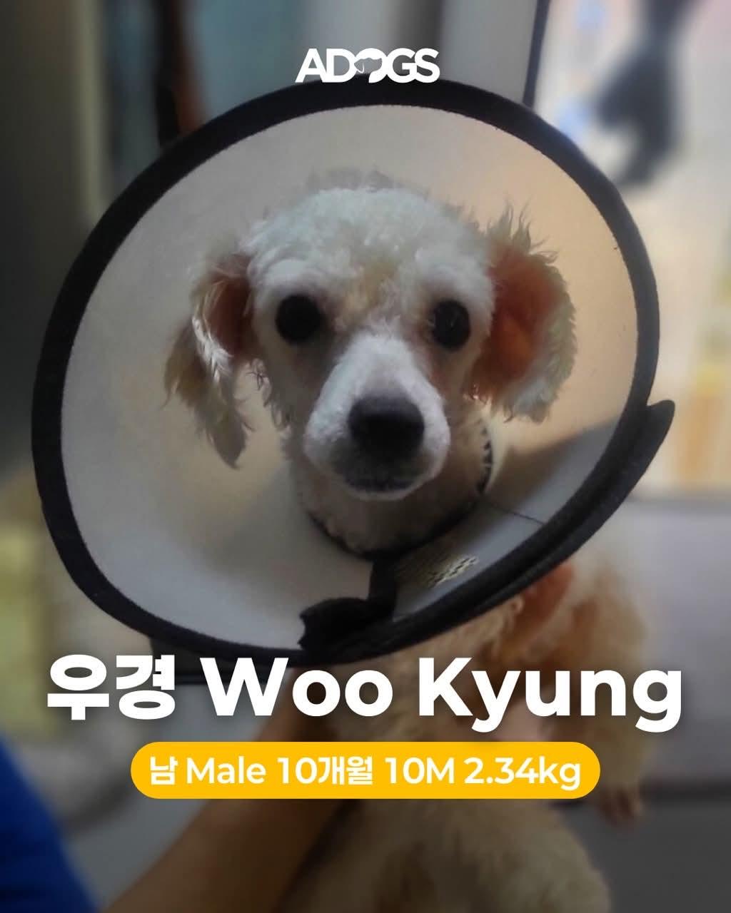 WOOKYUNG