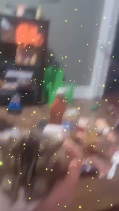 Enlarge Marco, a ADOPTABLE Domestic Long Hair in East Hanover, NJ video 3/4