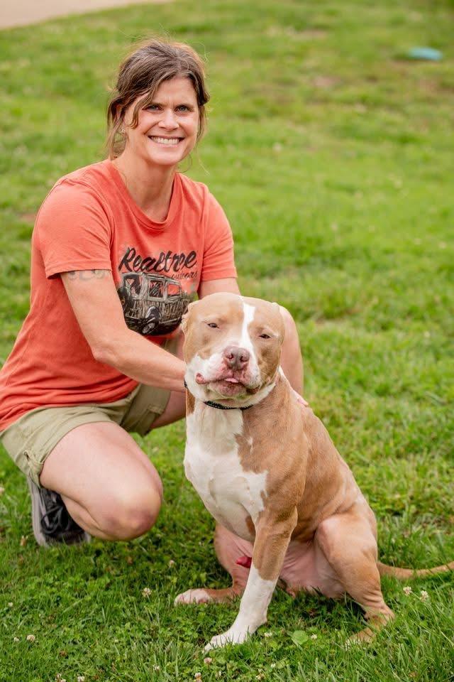 Enlarge Mater, a ADOPTABLE mixed breed in Douglas, MA image 2/6