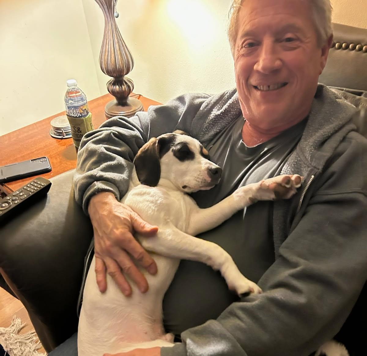 Enlarge Andy puppy , a ADOPTABLE mixed breed in Virginia Beach, VA image 3/6